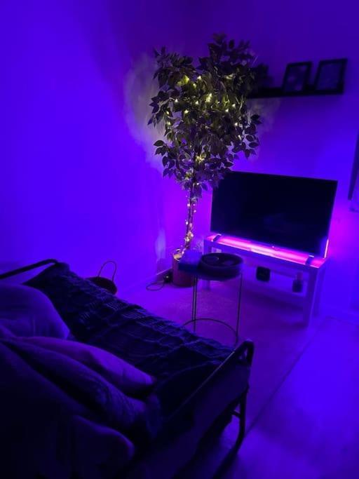 Cozy Apartment